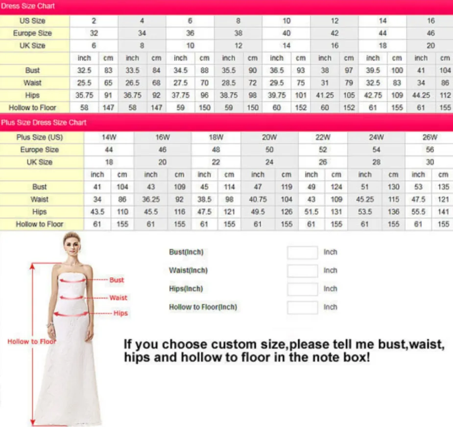 Anneprom Blue Tulle A Line Lace Appliques Short Homecoming Dresses APH0055