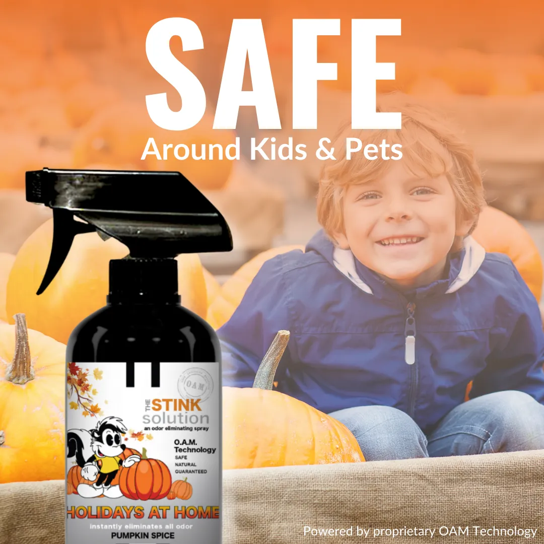 Buy 2 Get 4 FREE - (2) 16 oz (2) 4 oz Fall Bundle   2 Car Air Fresheners