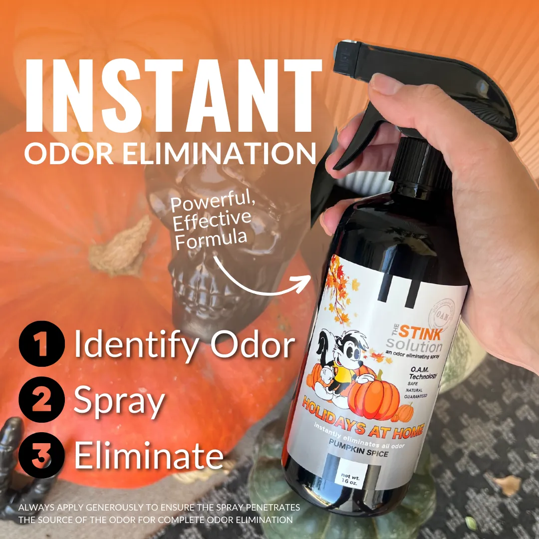 Buy 2 Get 4 FREE - (2) 16 oz (2) 4 oz Fall Bundle   2 Car Air Fresheners
