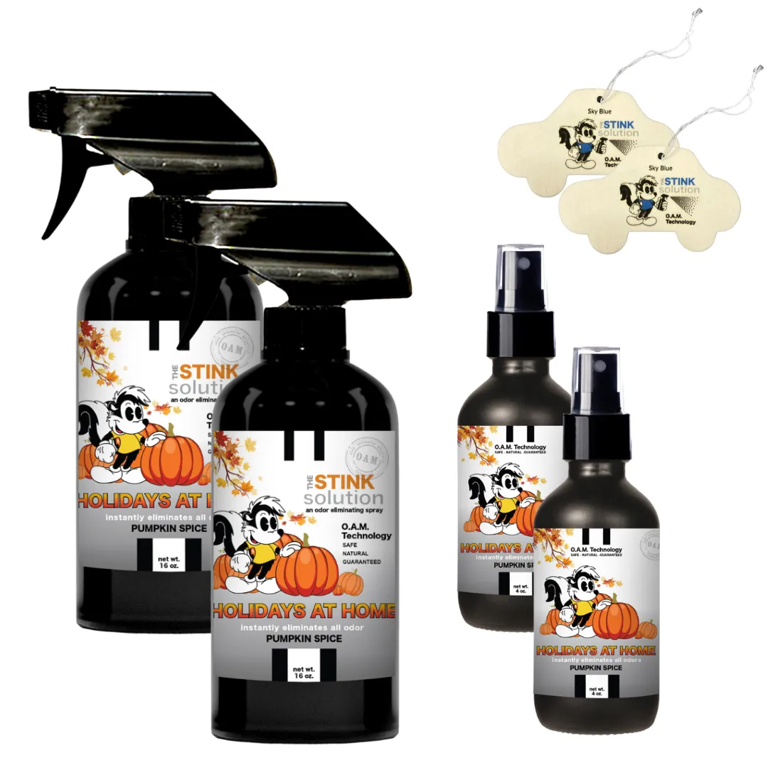 Buy 2 Get 4 FREE - (2) 16 oz (2) 4 oz Fall Bundle   2 Car Air Fresheners
