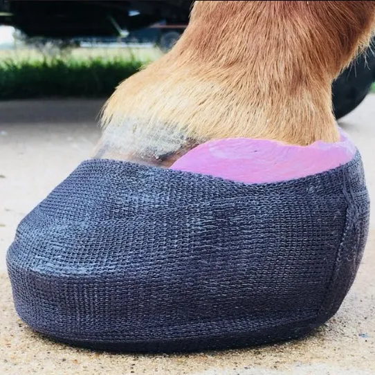 Equicast Hoof Cast