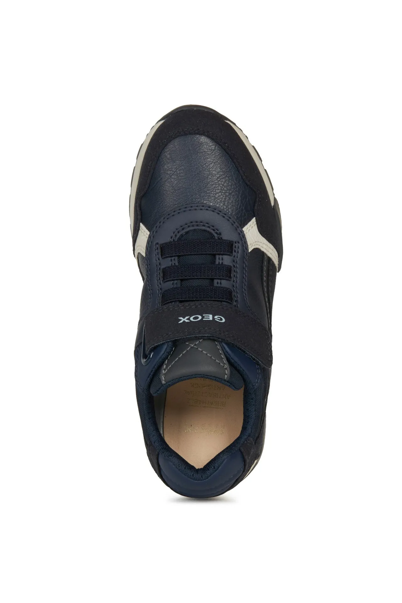 Geox - Alfier - Navy