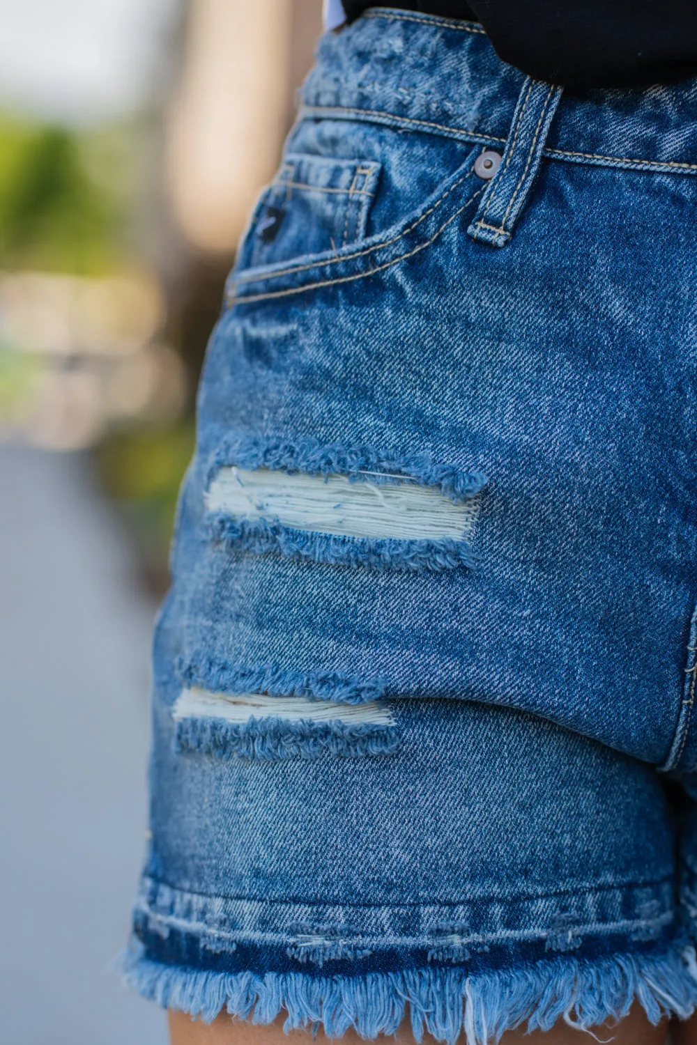 High Rise Boyfriend Fly Shorts
