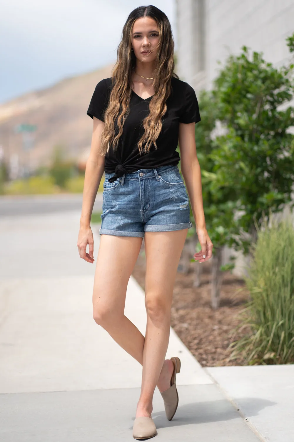 High Rise Shorts