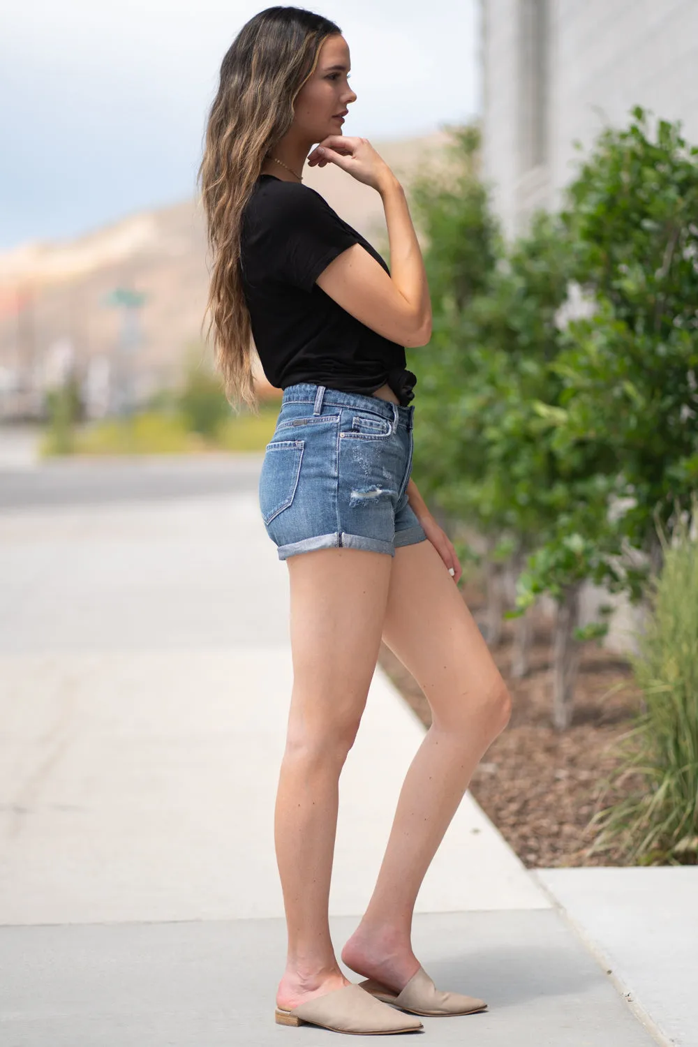 High Rise Shorts