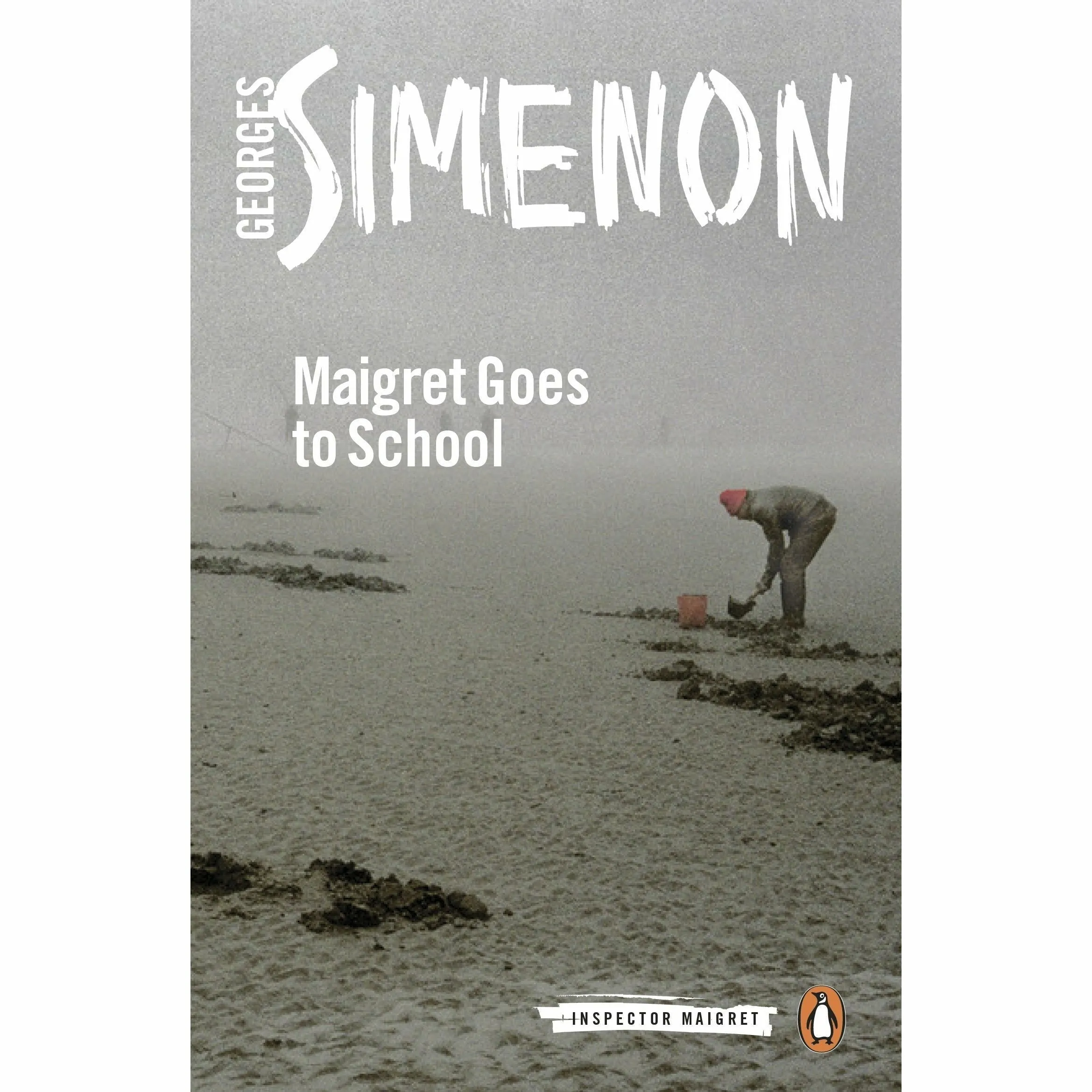 Inspector Maigret Series 9 :41 To 45 Books Collection Set By Georges Simenon