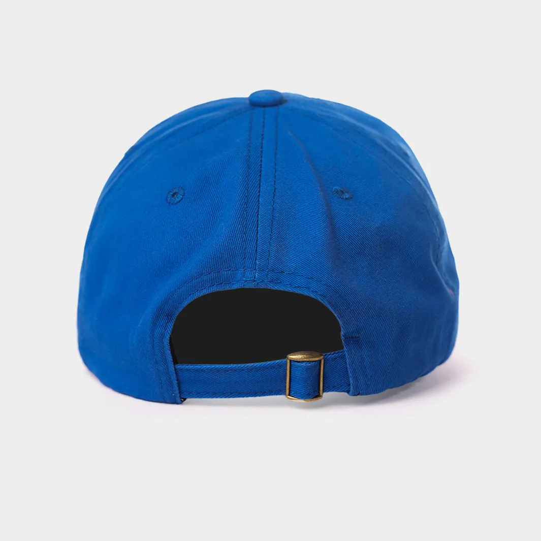 Pitt Panthers '80s Logo Dad Hat